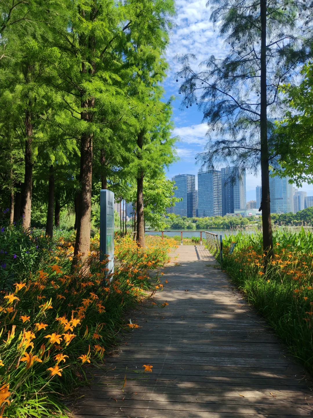 赣州超美的一个公园…