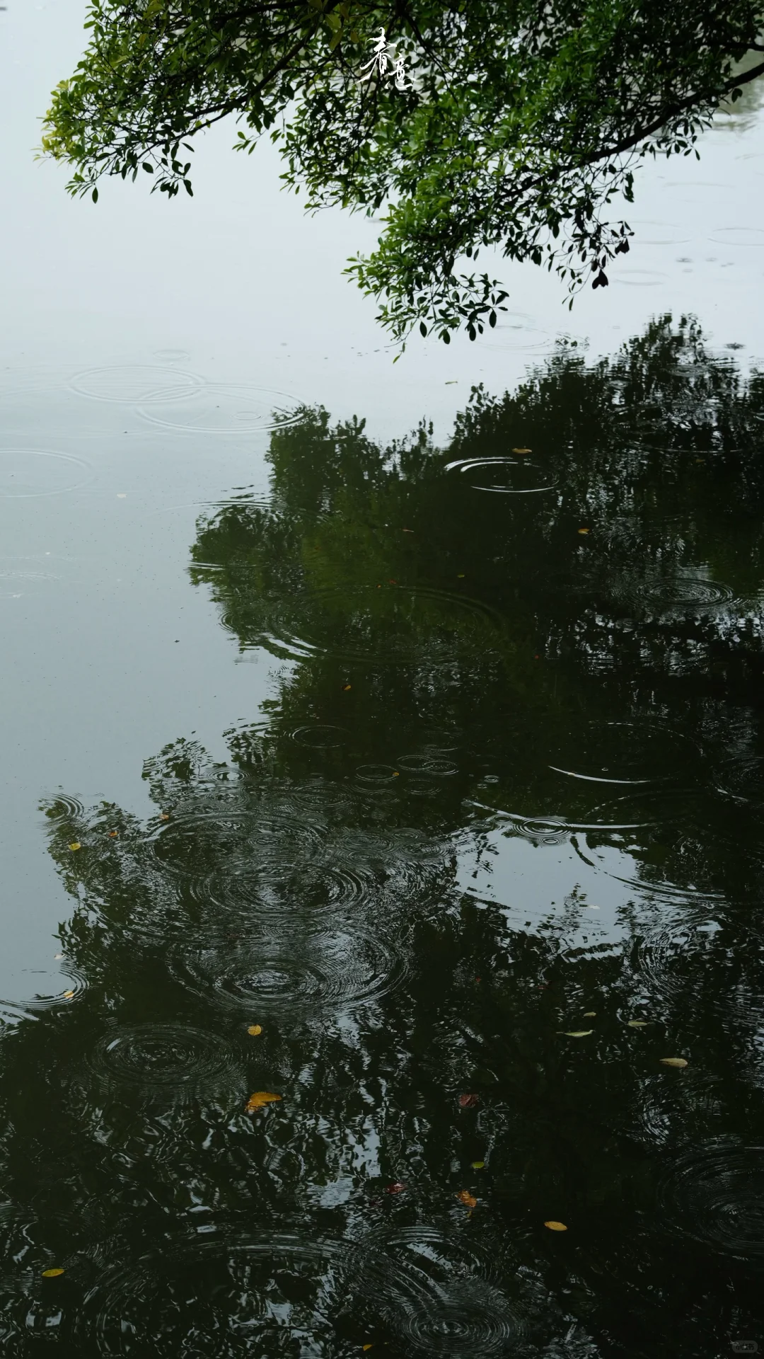 赣州｜八境公园