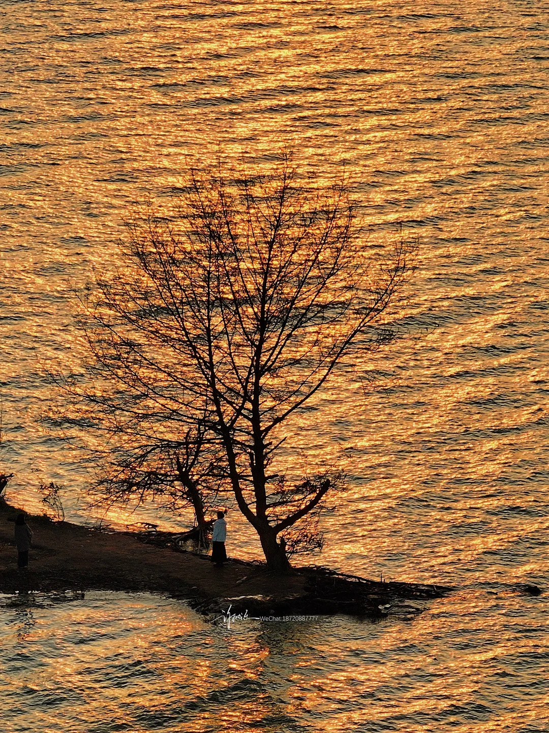 今年赣州的秋天有点漫长🍂