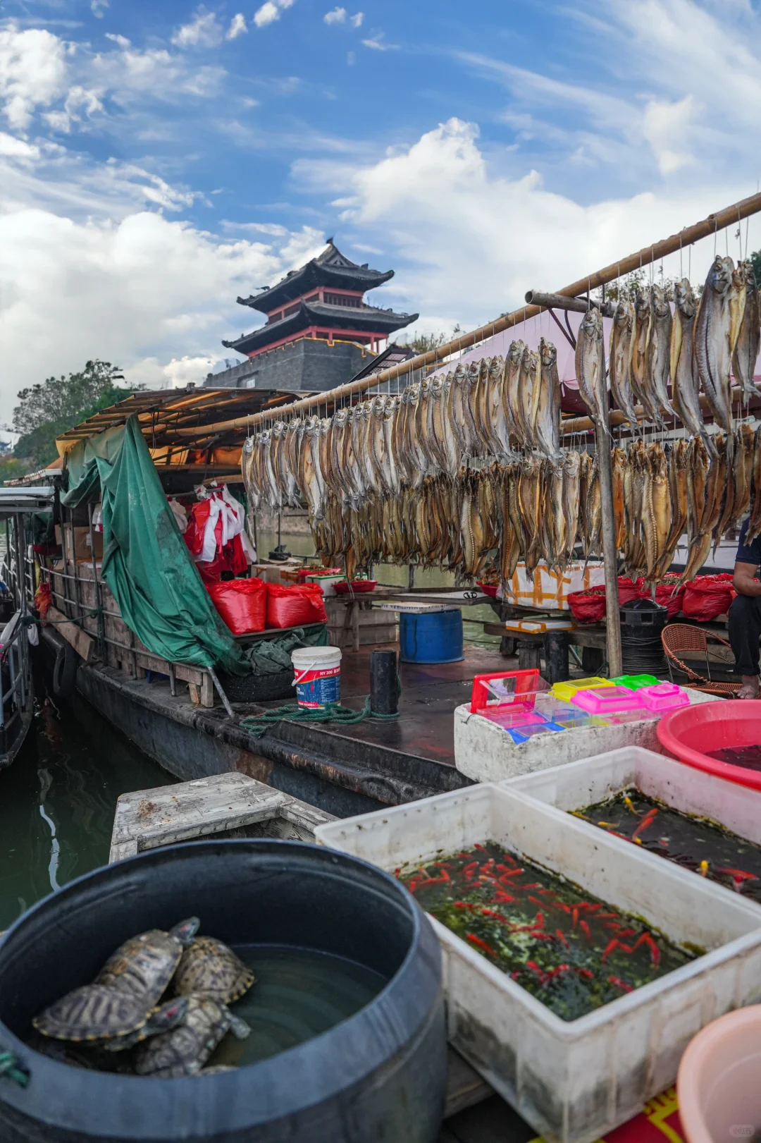 为了这个宋代古浮桥，我特意去了一趟赣州