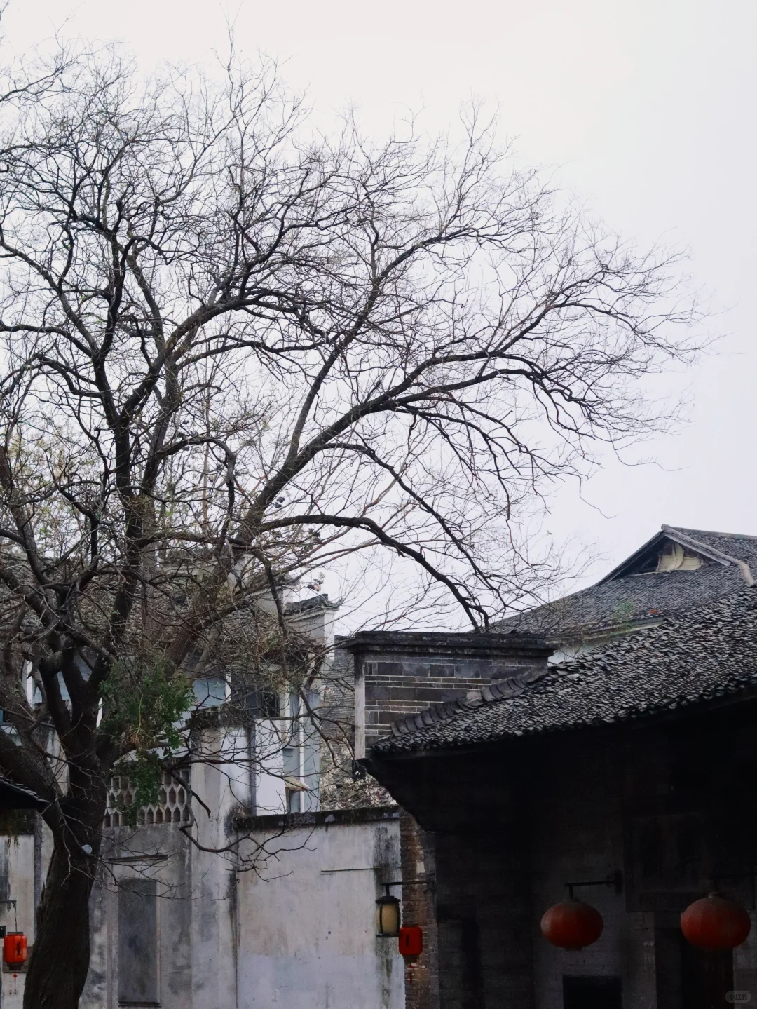 🔥五一逃离人海！冷门又宝藏的千年宋城