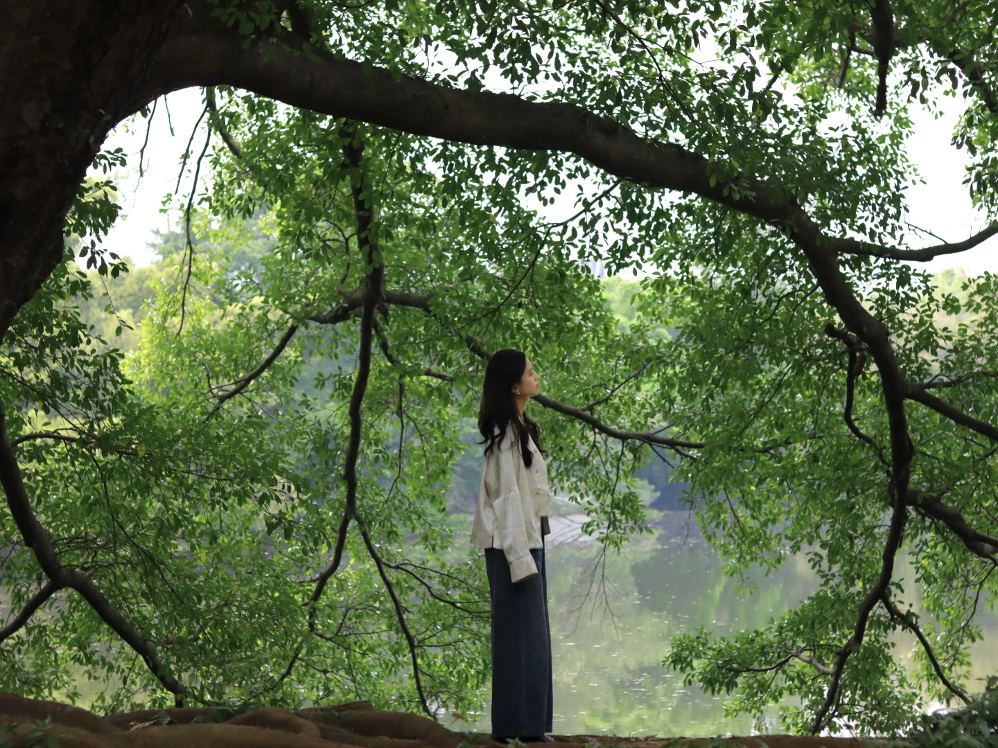 🔥五一逃离人海！冷门又宝藏的千年宋城