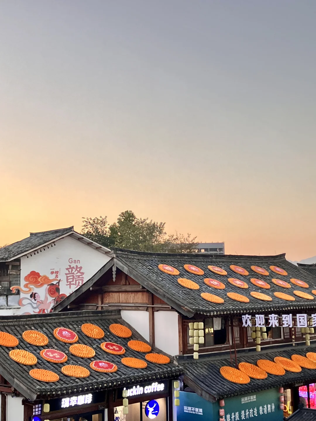 赣州又出手了！！！已进入晒🍊模式