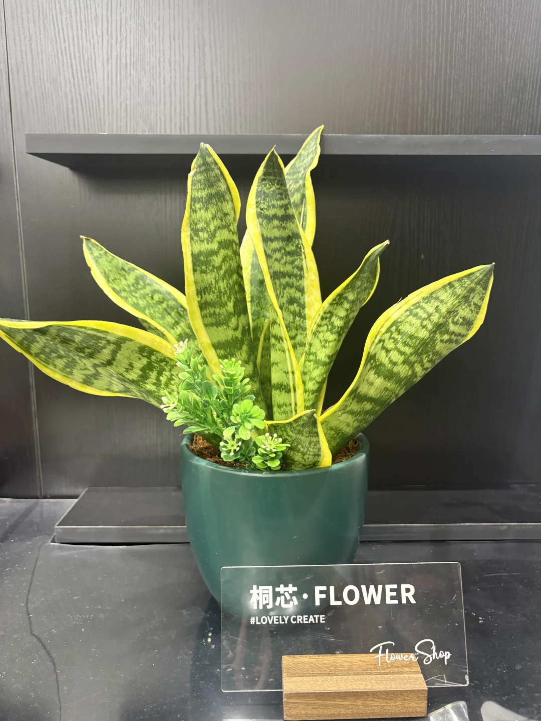 抚州花店、桌摆小绿植、抚州花店、绿植