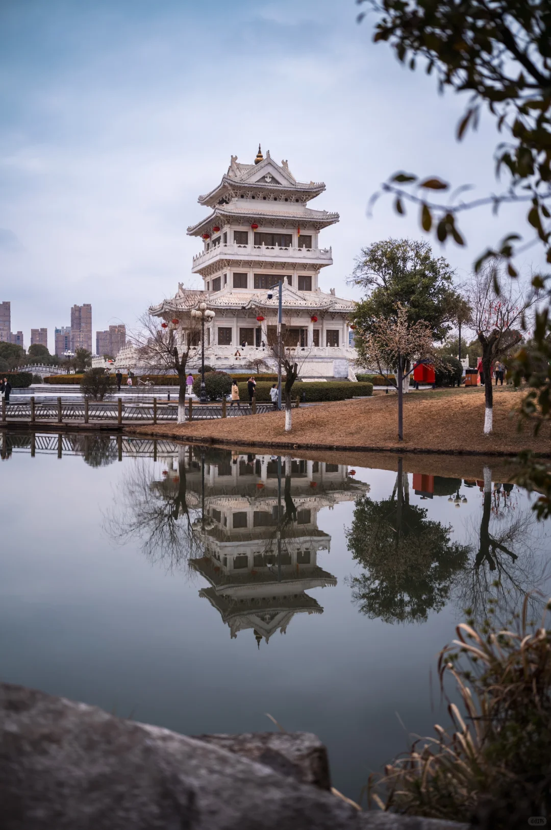 又见抚州｜说了再见就要去见