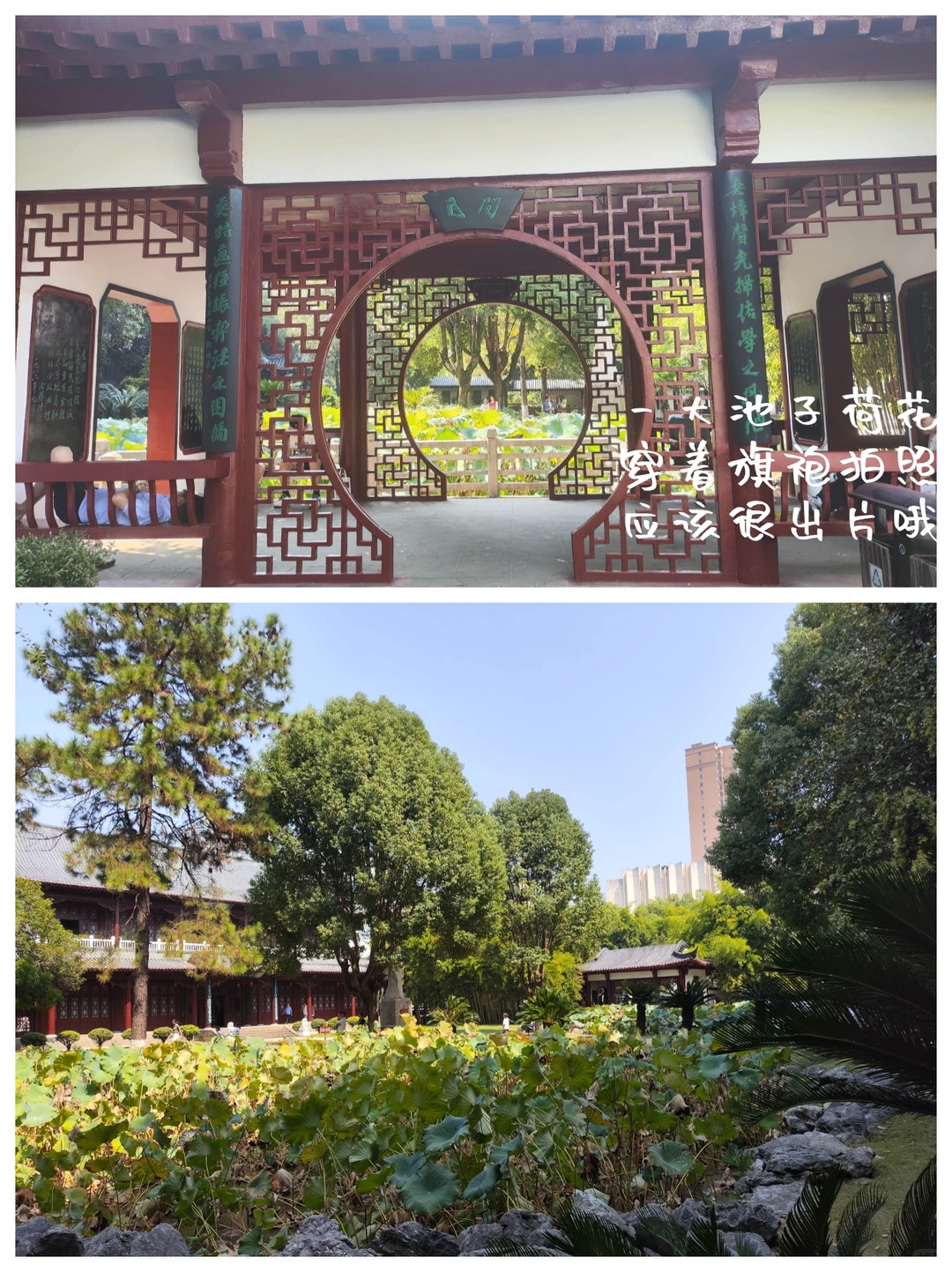 江西抚州|宝藏小城漫游全攻略