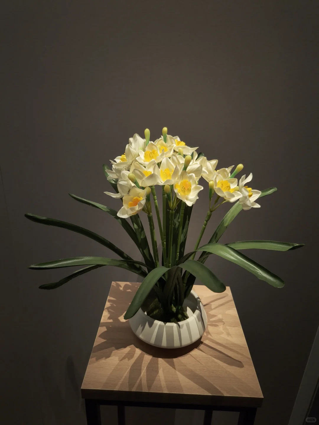 再见了这座满是辣椒的城市#南昌暴走24h🌆逛