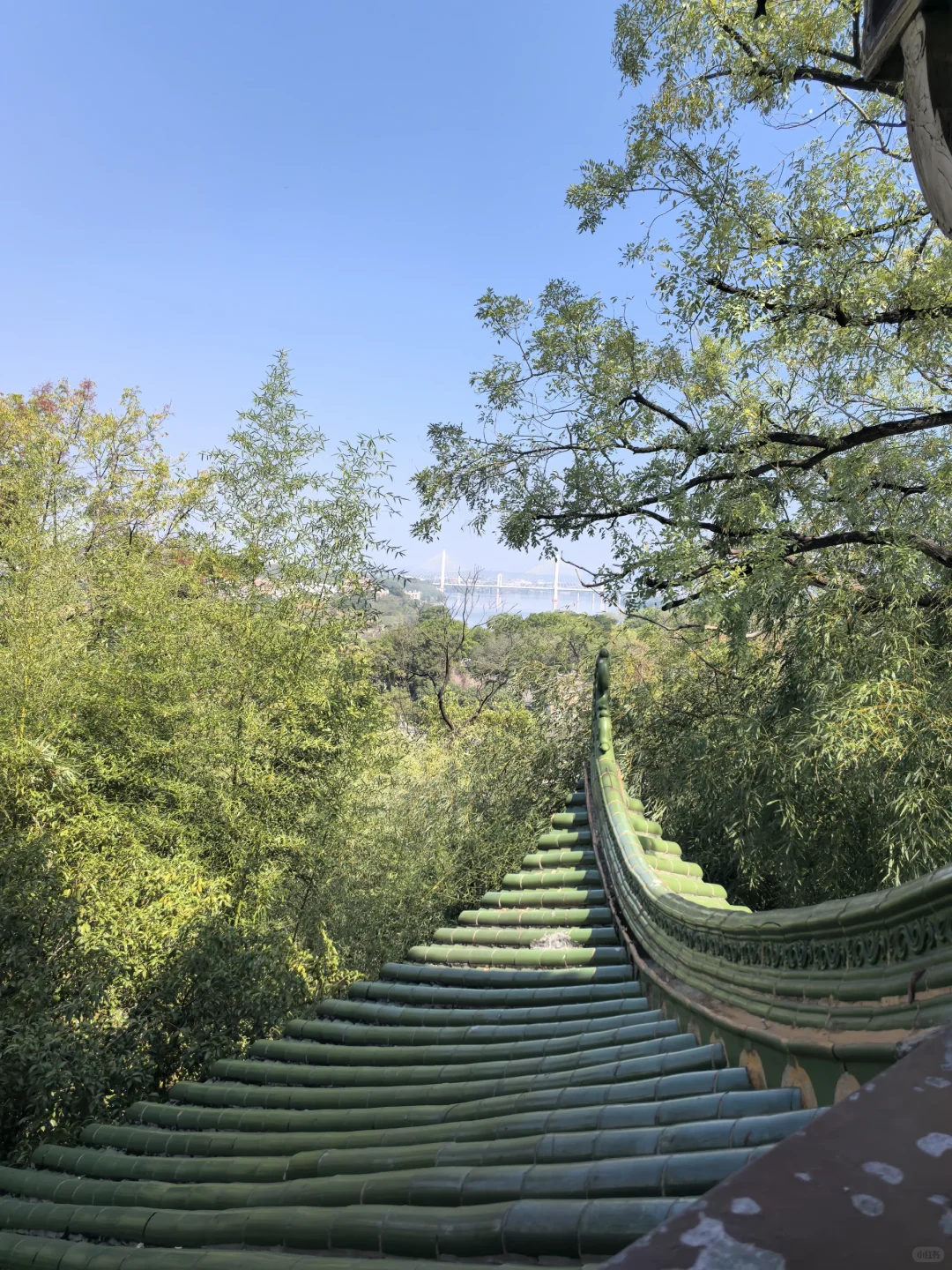 赣州文旅真牛，这么好的景点都免门票！