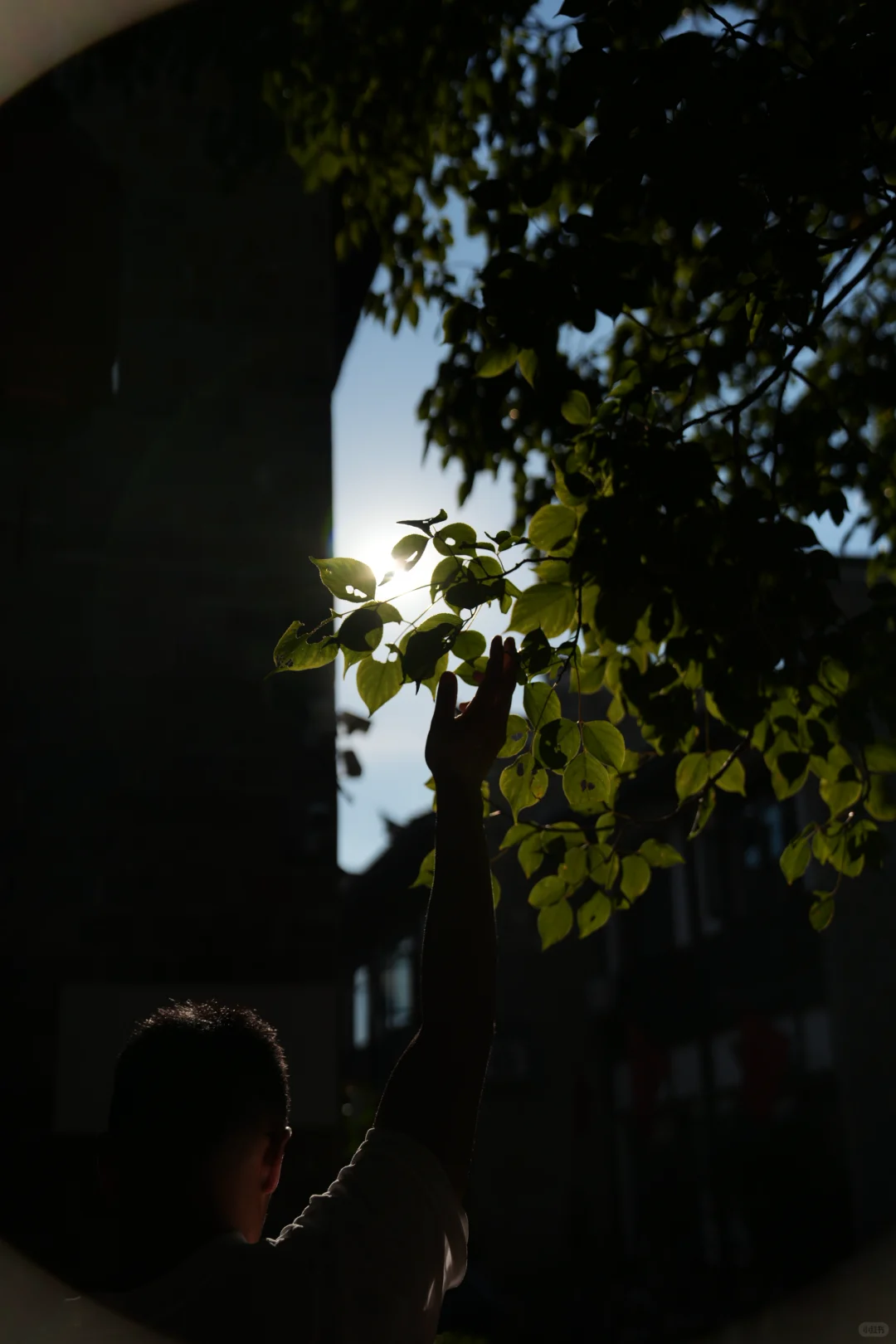 来抚州，抚平你的忧愁🧳