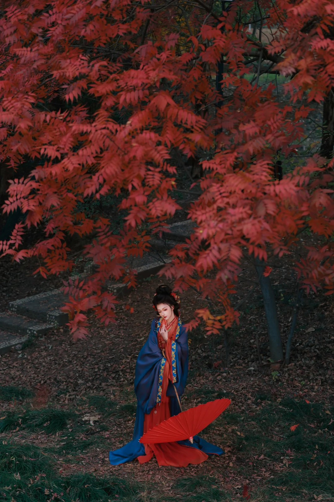 赣州这棵树也太好拍啦！ | 赣州汉服