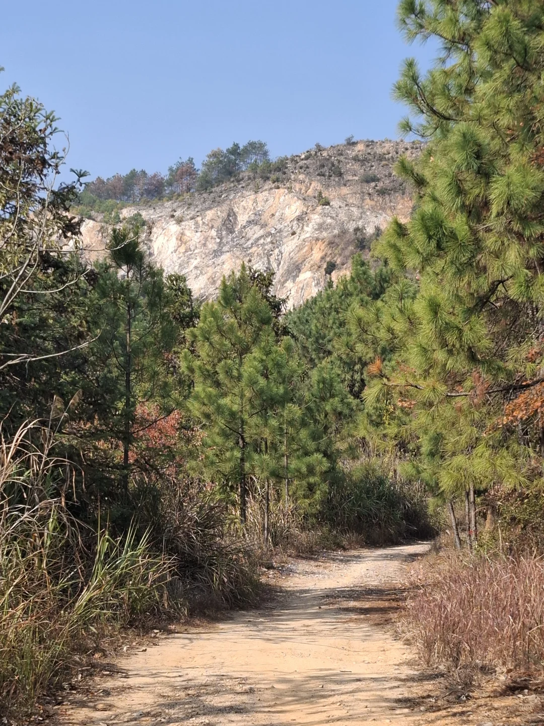 一起在抚州找寻纯正自然风景⛰️（含路线图