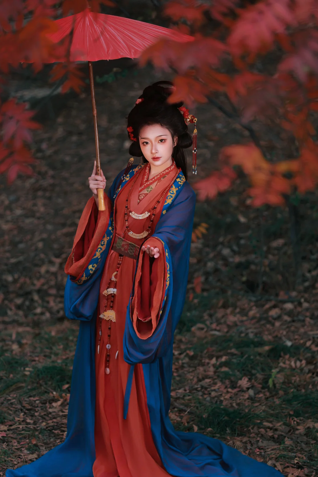 赣州这棵树也太好拍啦！ | 赣州汉服