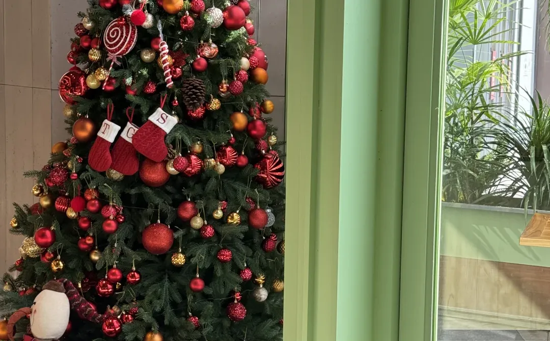 赣州🎄圣诞顶流TGS！好吃到爆的漂亮饭🍴