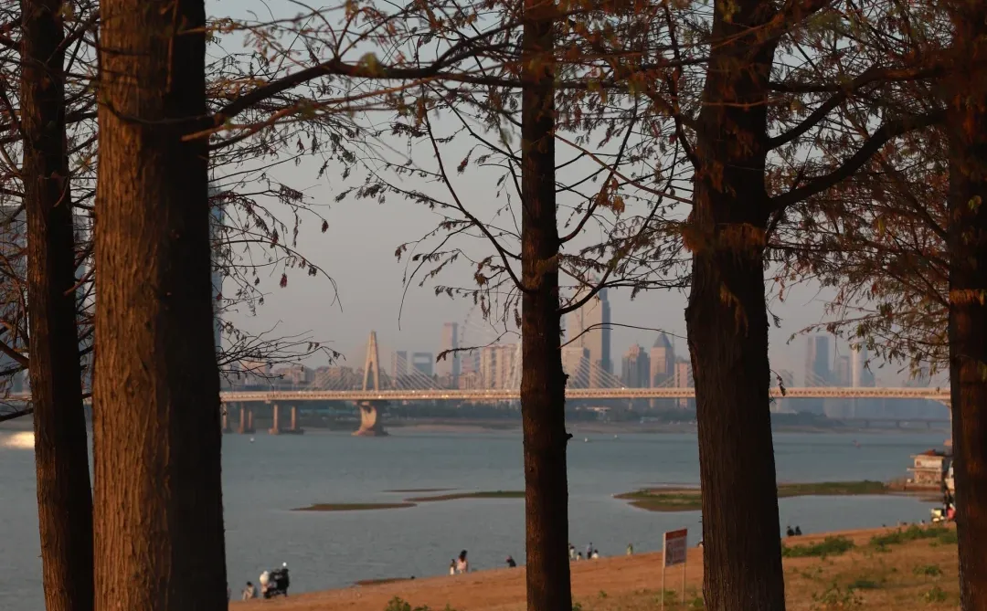 为了这18张live 图总要来一趟南昌！！！