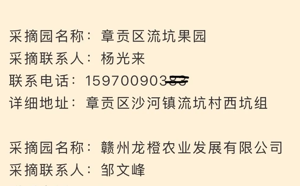 脐橙界的扛把子，赣州出品！