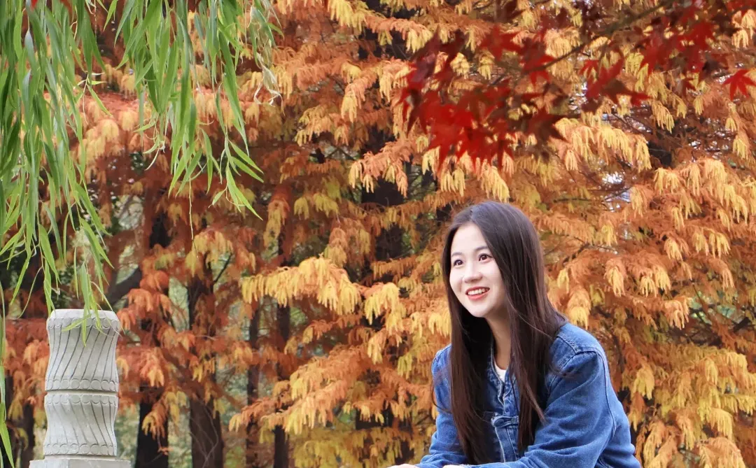赣州爆美的红枫公园‼️红橙交织的色彩世界🍁