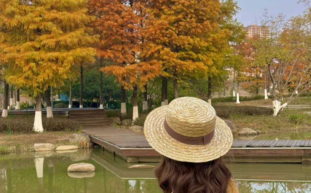 赣州这片水杉林🍂Live 直出的美！！！