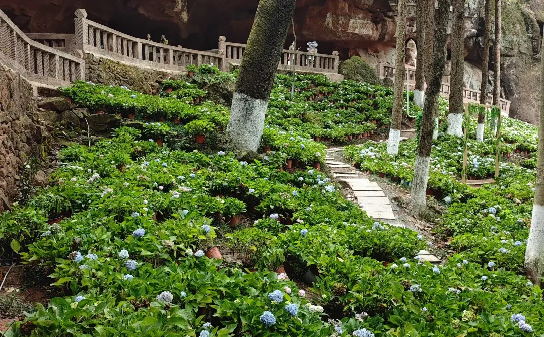 带着姥姥去看世界 —— 赣州篇