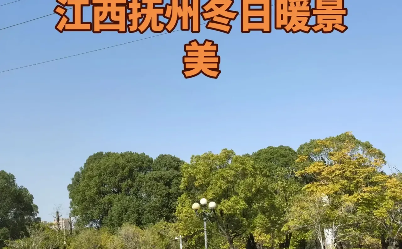 江西省抚州电子烟案会见沟通辩护意见