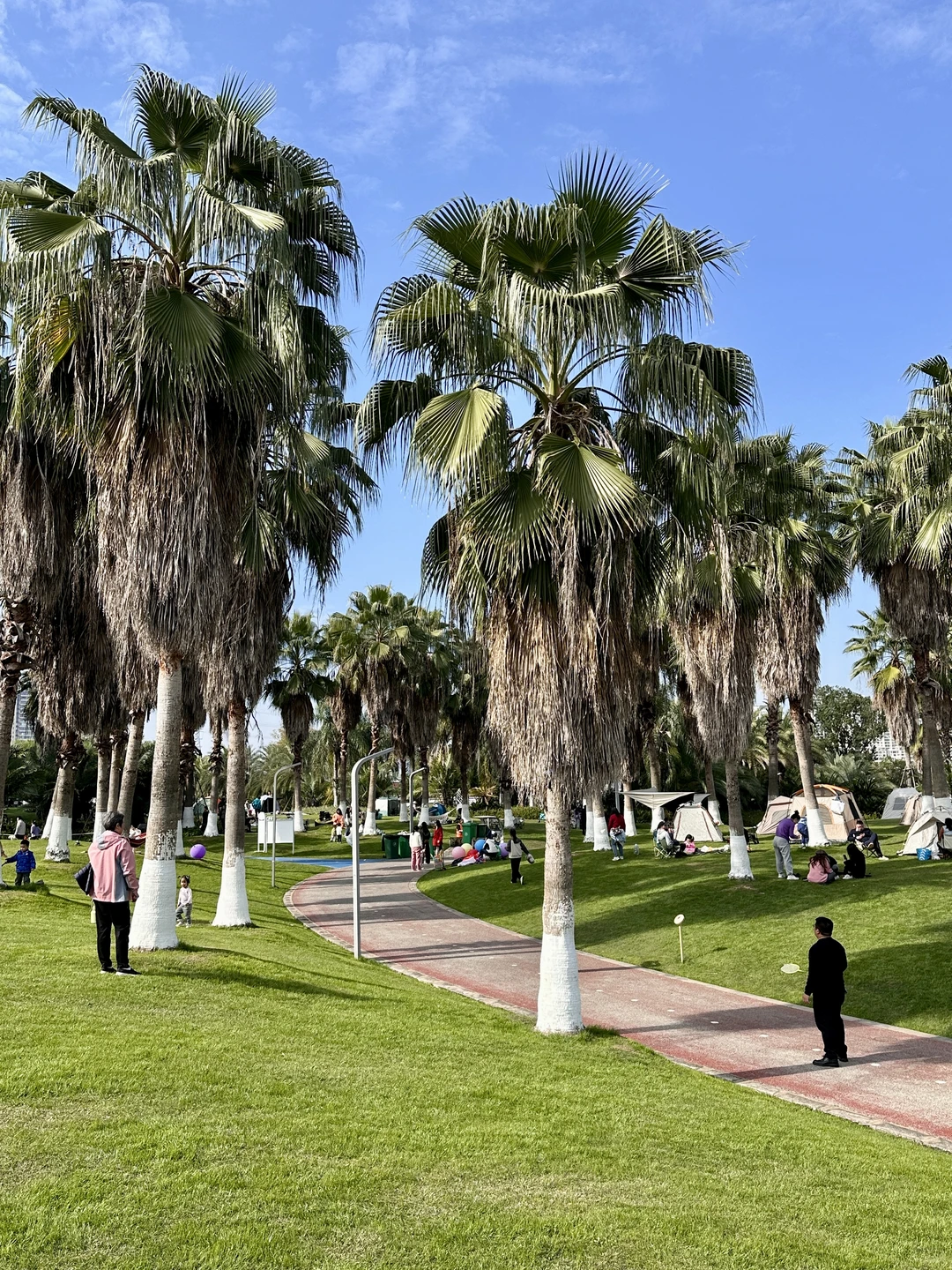 赣州蓉江公园这片大草坪也太治愈了吧！ 🌴