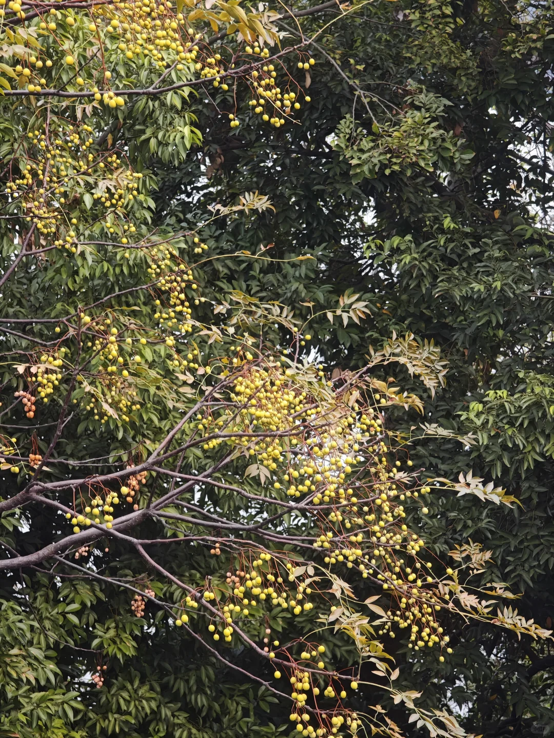 带着姥姥去看世界 —— 赣州篇