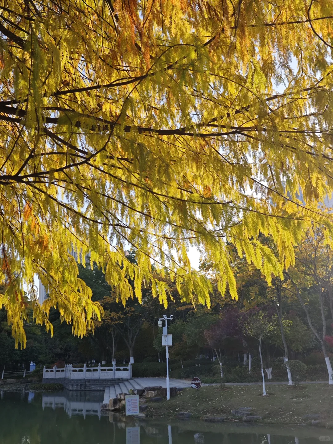 在赣州，拼凑秋天的颜色🍂🍁