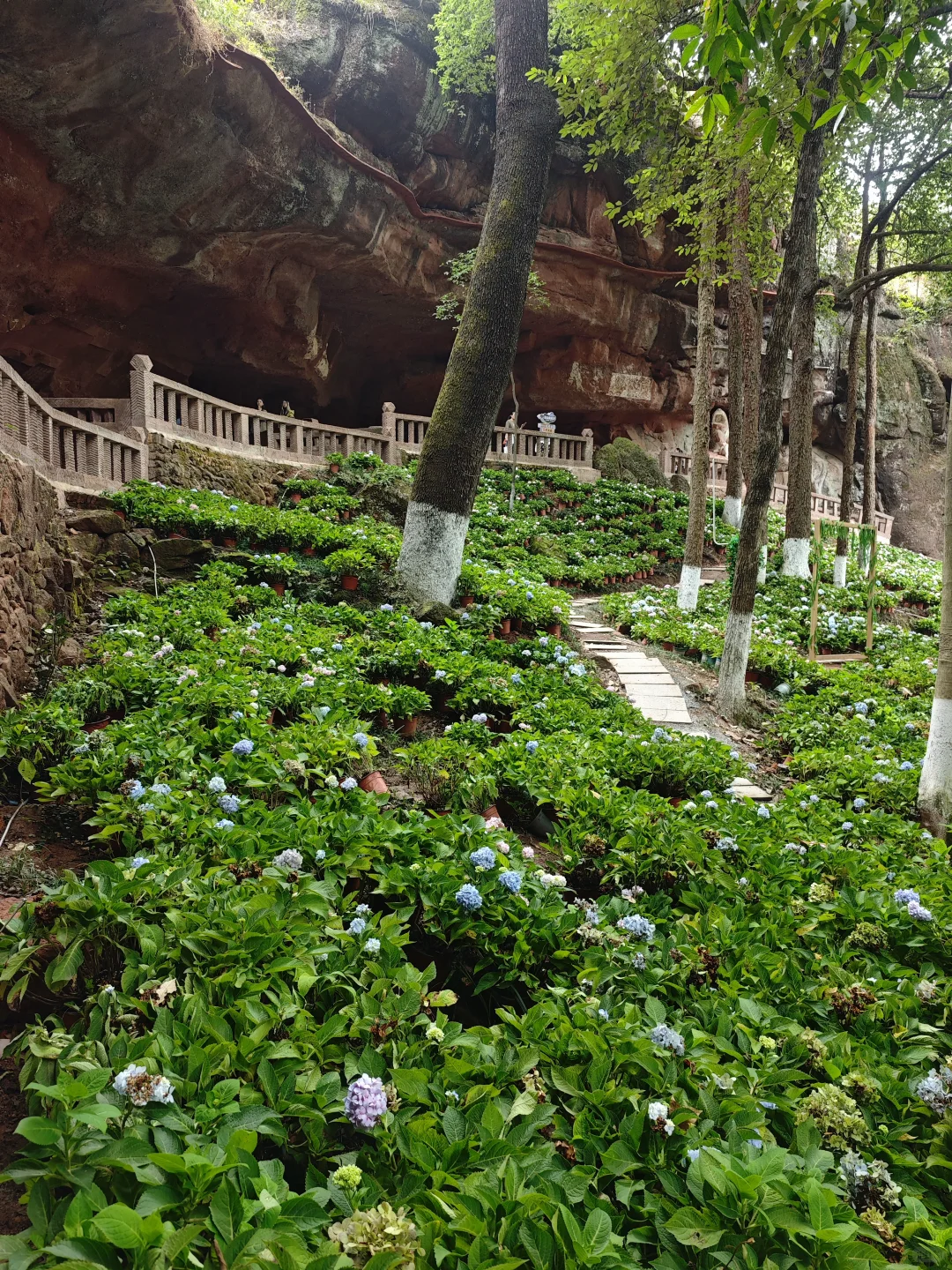 带着姥姥去看世界 —— 赣州篇