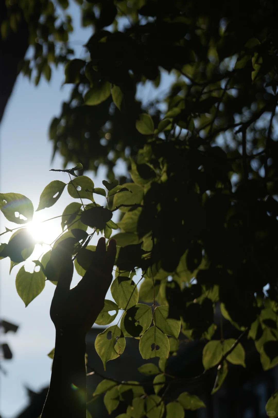 来抚州，抚平你的忧愁🧳