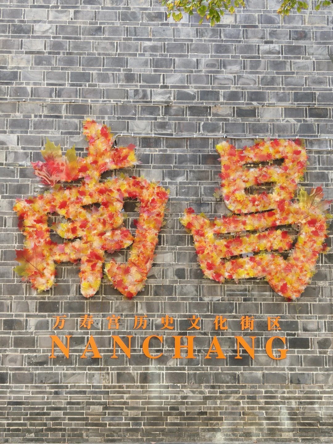 再见了这座满是辣椒的城市#南昌暴走24h🌆逛