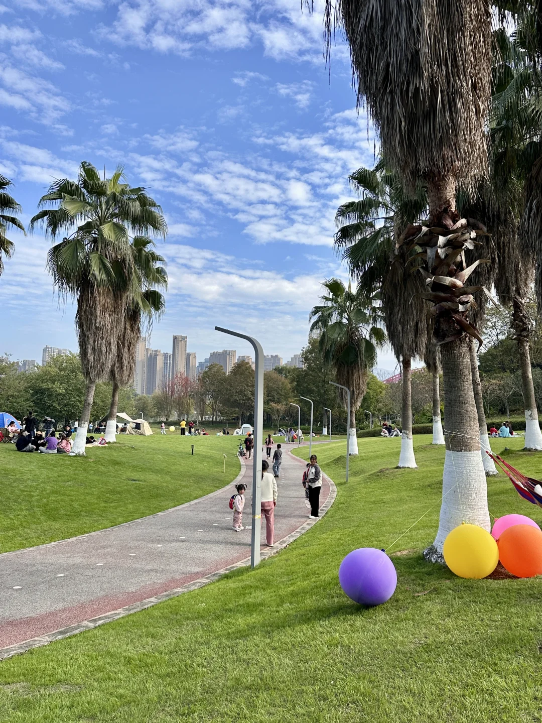 赣州蓉江公园这片大草坪也太治愈了吧！ 🌴