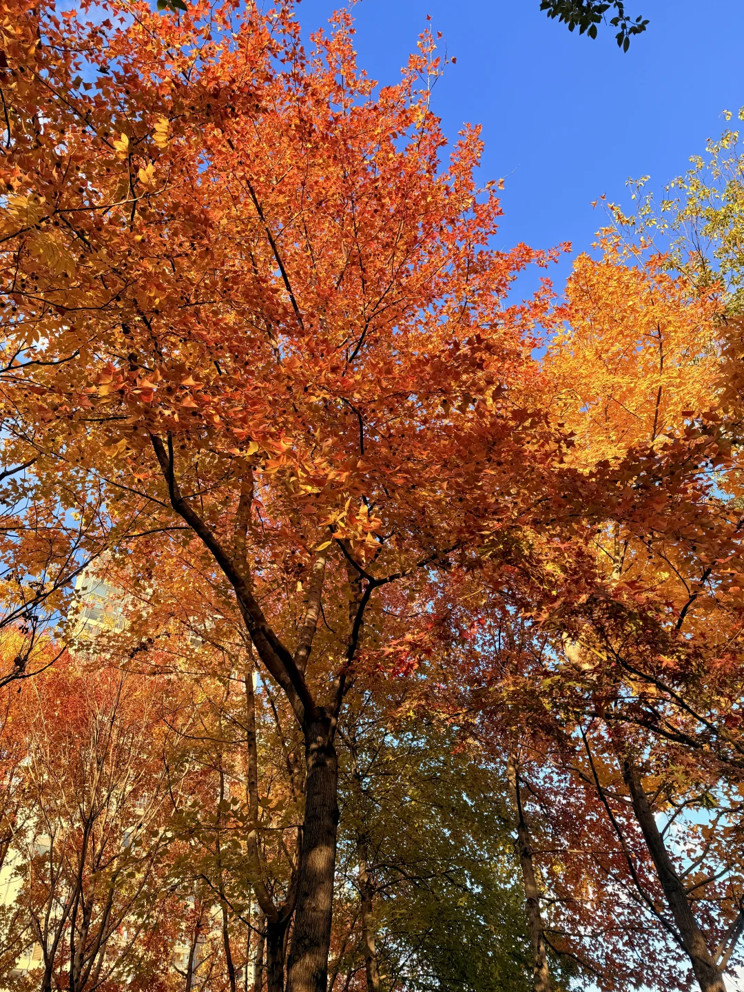 🍂我该怎么告诉你 这个地方在哪里