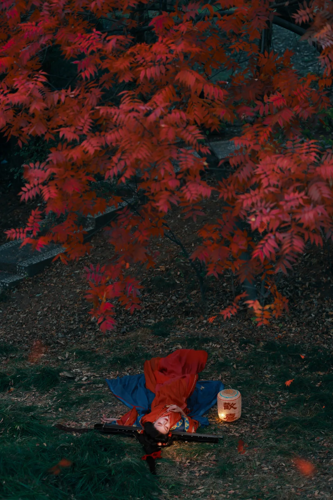 赣州这棵树也太好拍啦！ | 赣州汉服