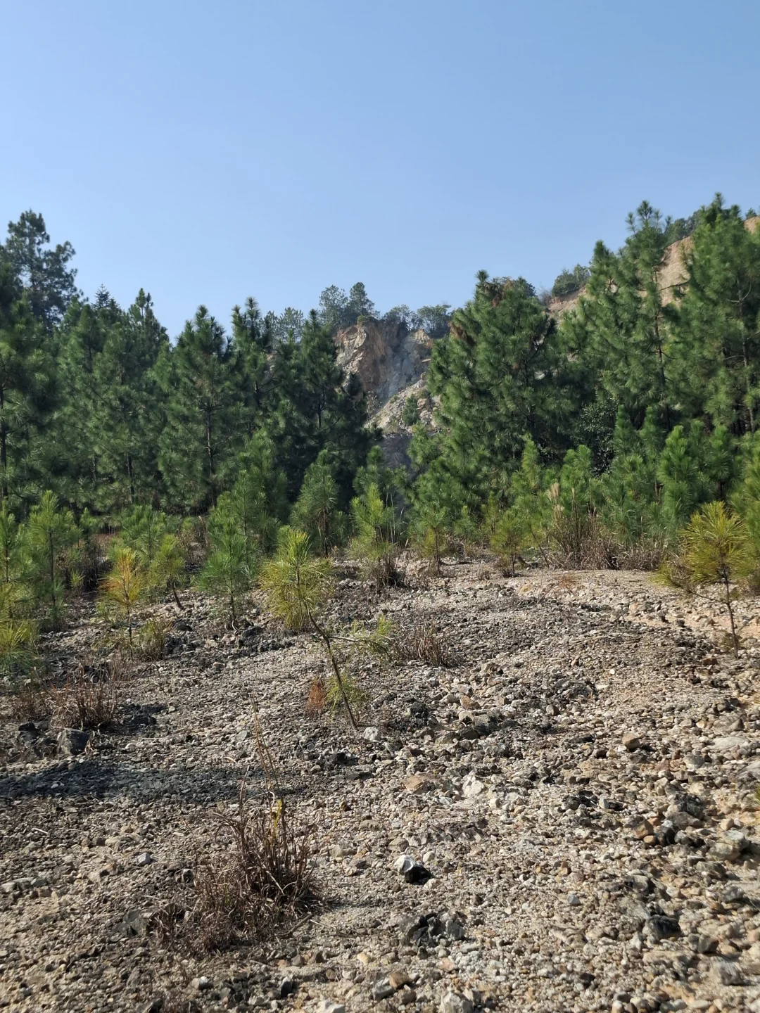 一起在抚州找寻纯正自然风景⛰️（含路线图