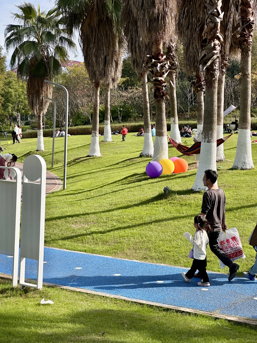 赣州蓉江公园这片大草坪也太治愈了吧！ 🌴