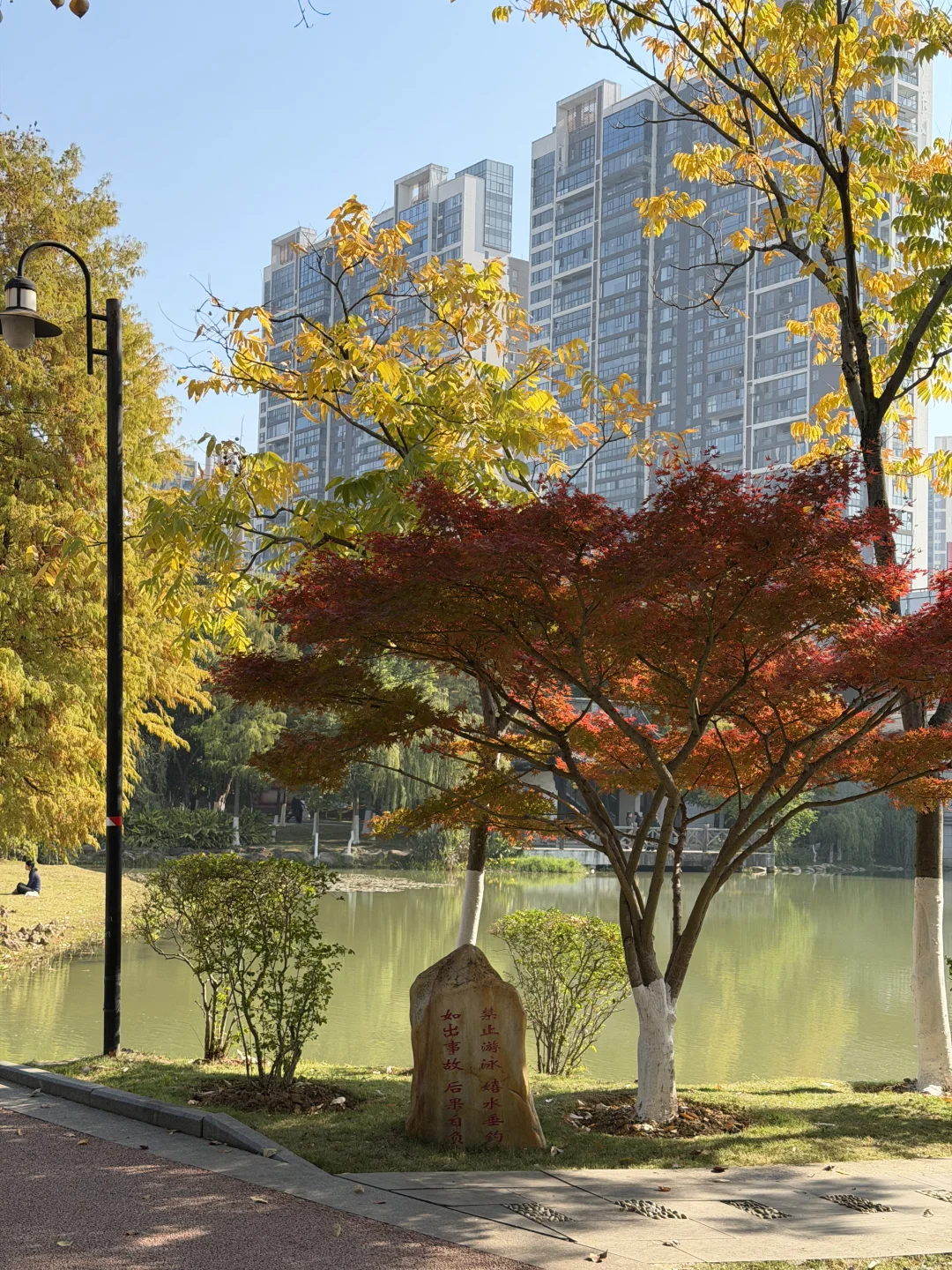 赣州——中央公园的秋是五彩斑斓🍁