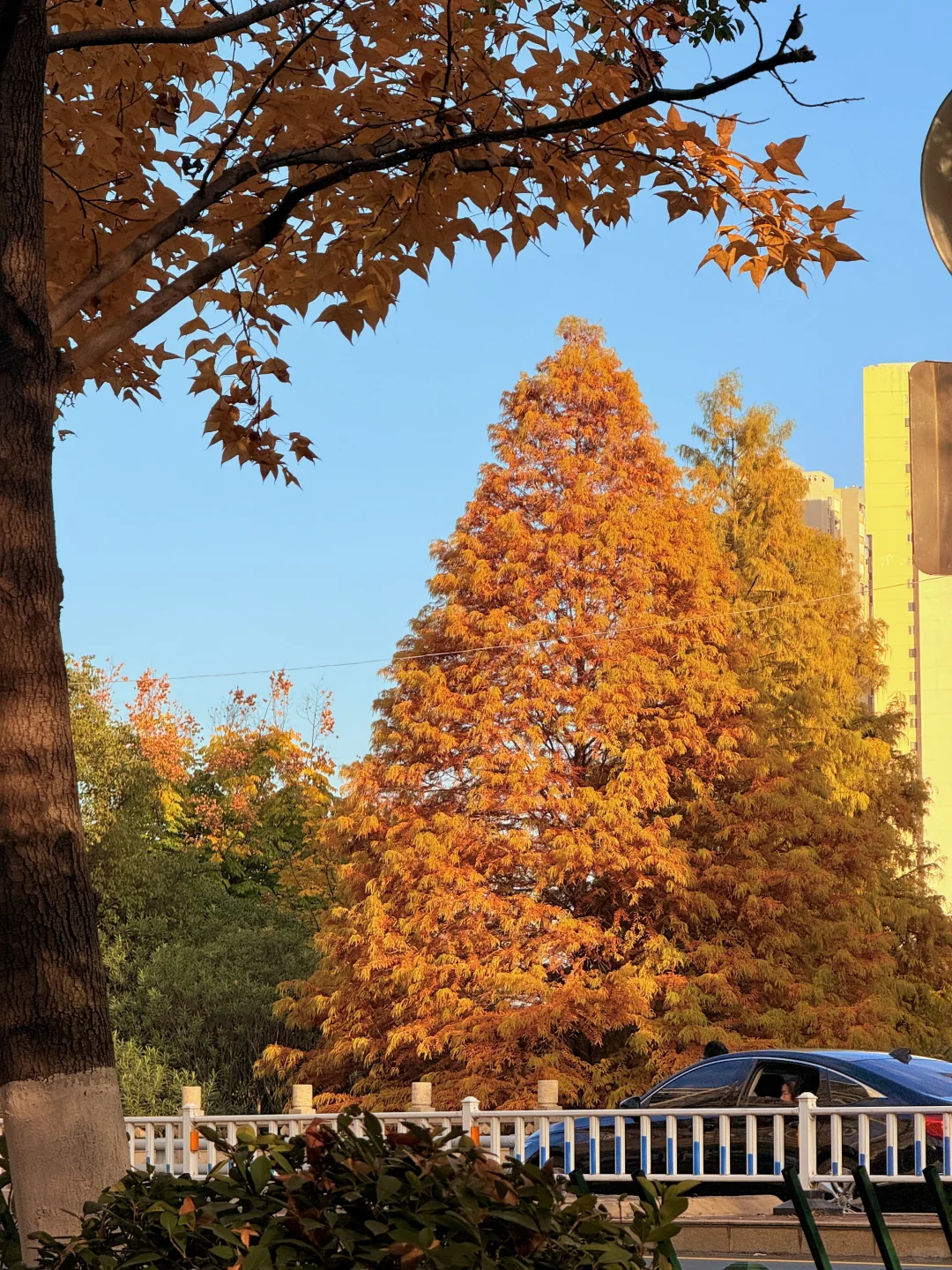 🍂我该怎么告诉你 这个地方在哪里