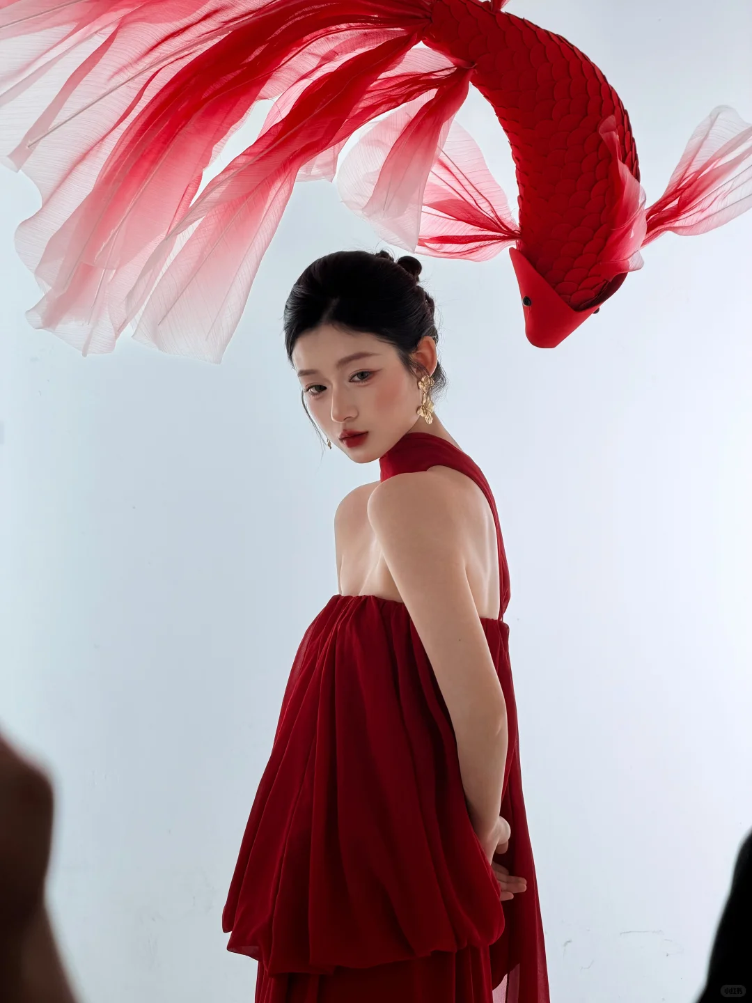 关于我在赣州拍的锦鲤写真