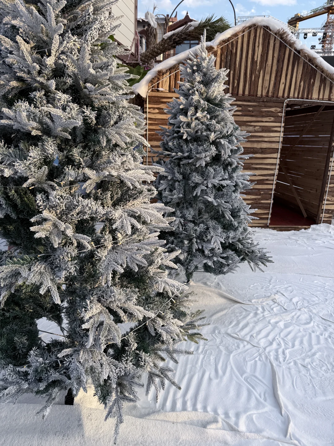 不用去阿勒泰！！！就在赣州！免费雪景好好拍！！