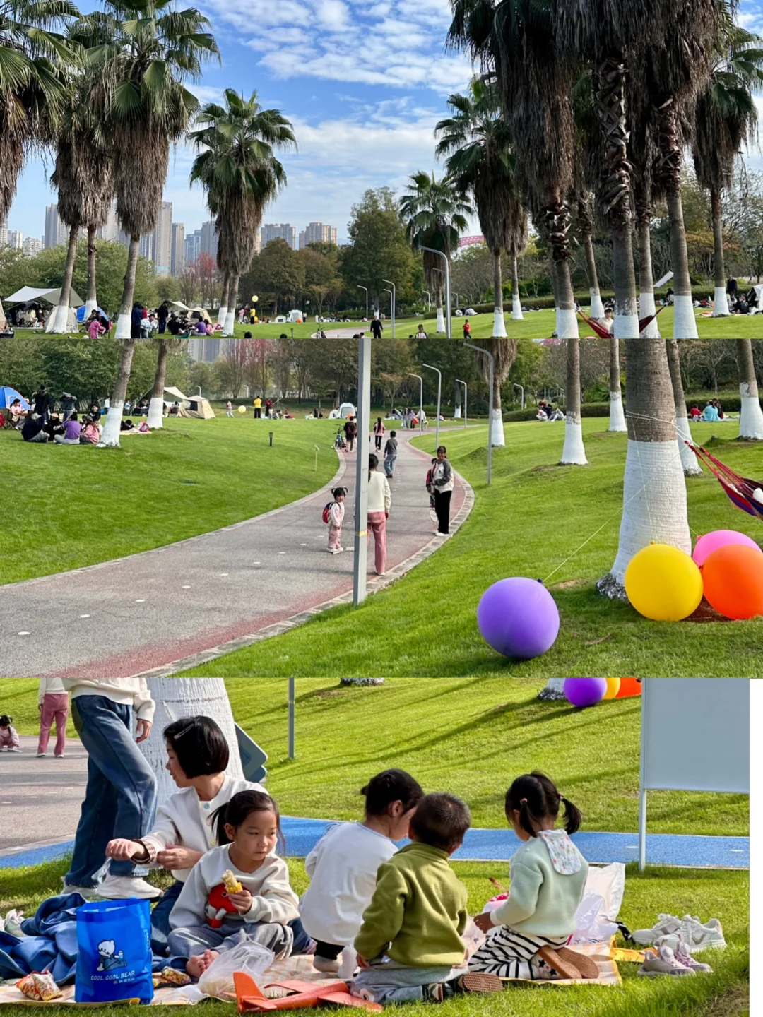 赣州蓉江公园这片大草坪也太治愈了吧！ 🌴