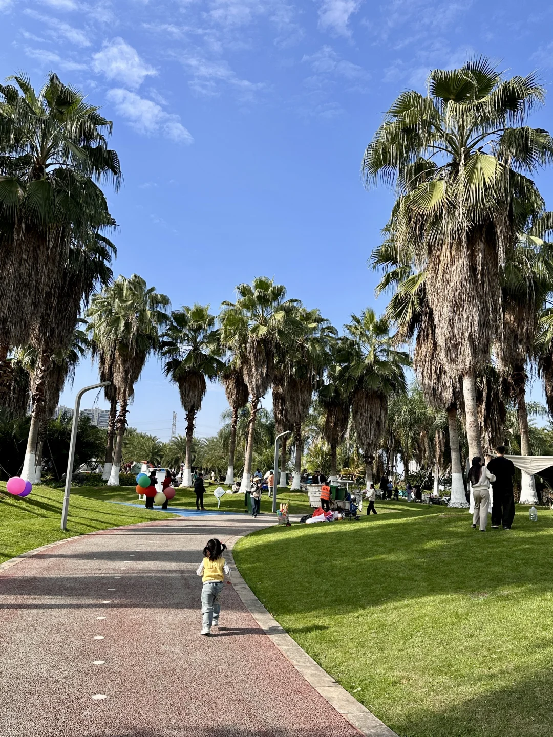 赣州蓉江公园这片大草坪也太治愈了吧！ 🌴