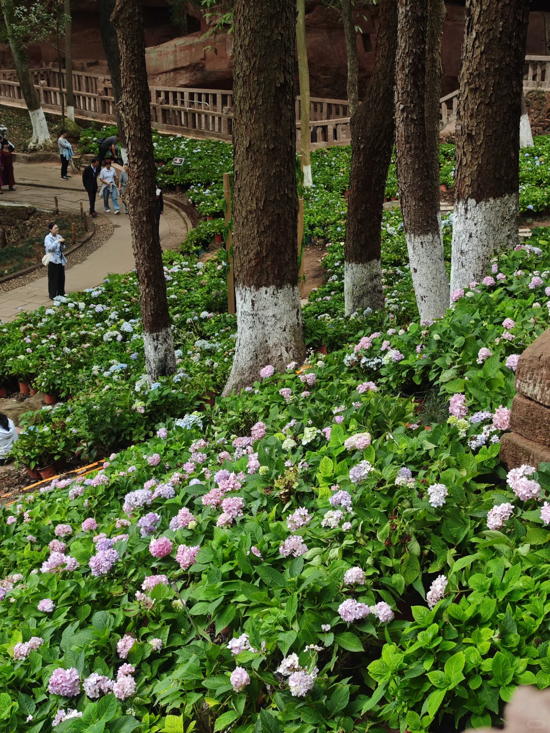 带着姥姥去看世界 —— 赣州篇