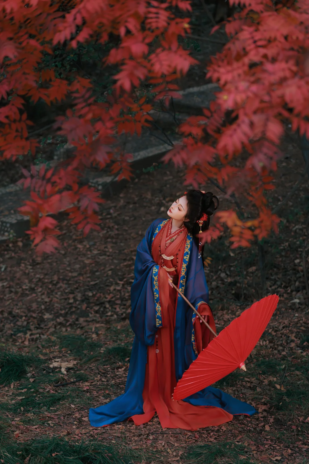 赣州这棵树也太好拍啦！ | 赣州汉服