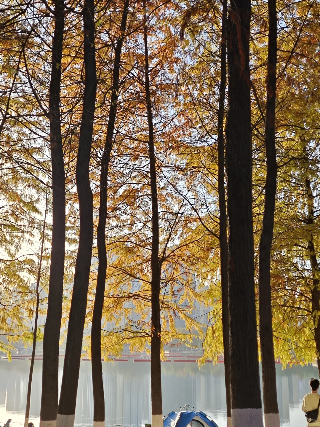 在赣州，拼凑秋天的颜色🍂🍁