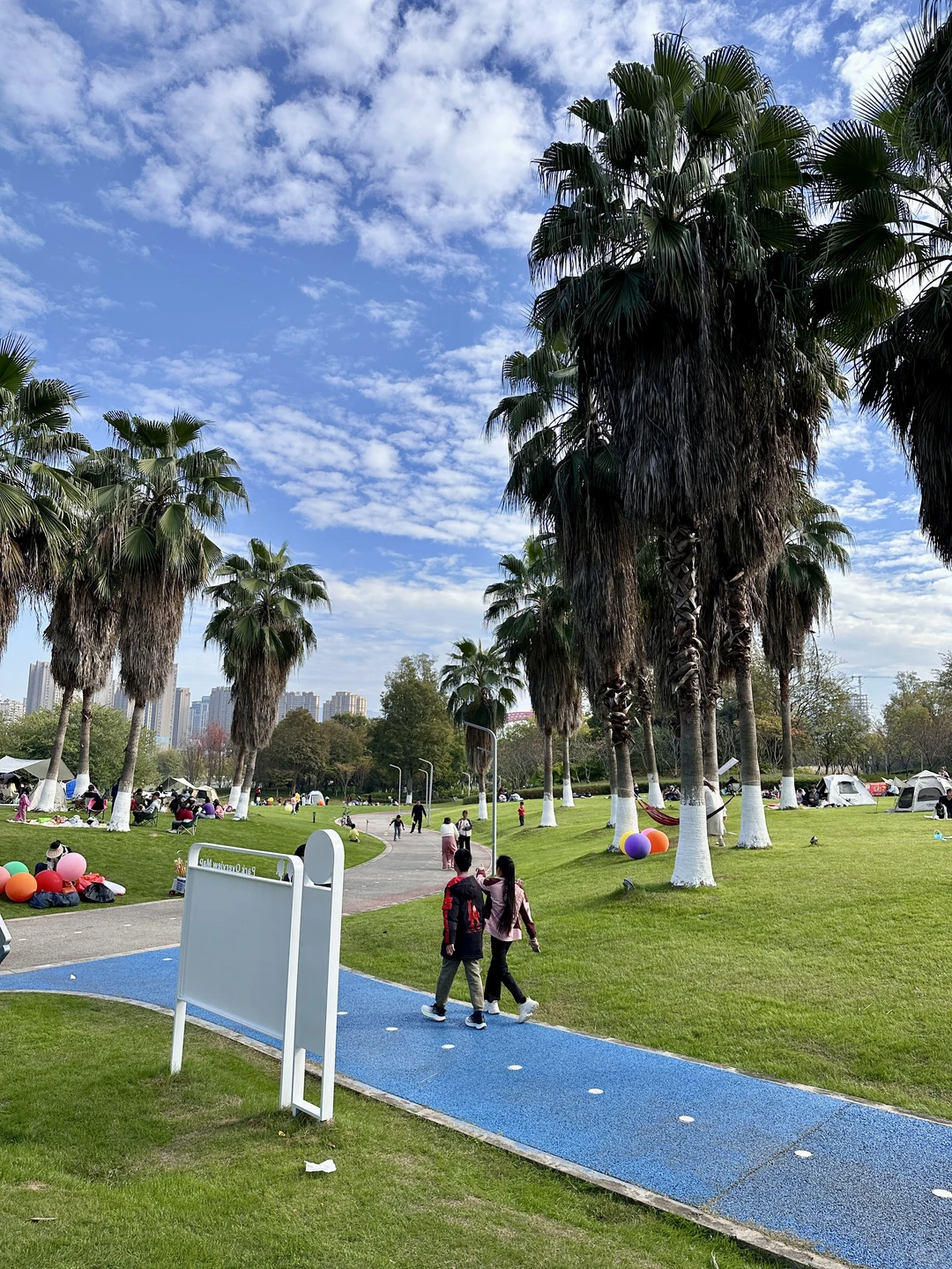 赣州蓉江公园这片大草坪也太治愈了吧！ 🌴