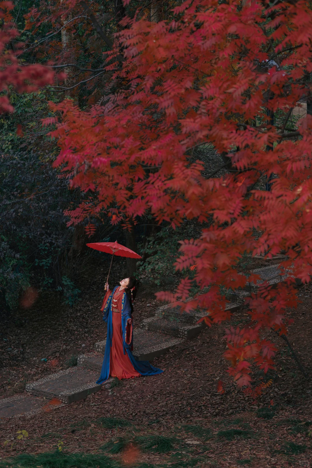 赣州这棵树也太好拍啦！ | 赣州汉服