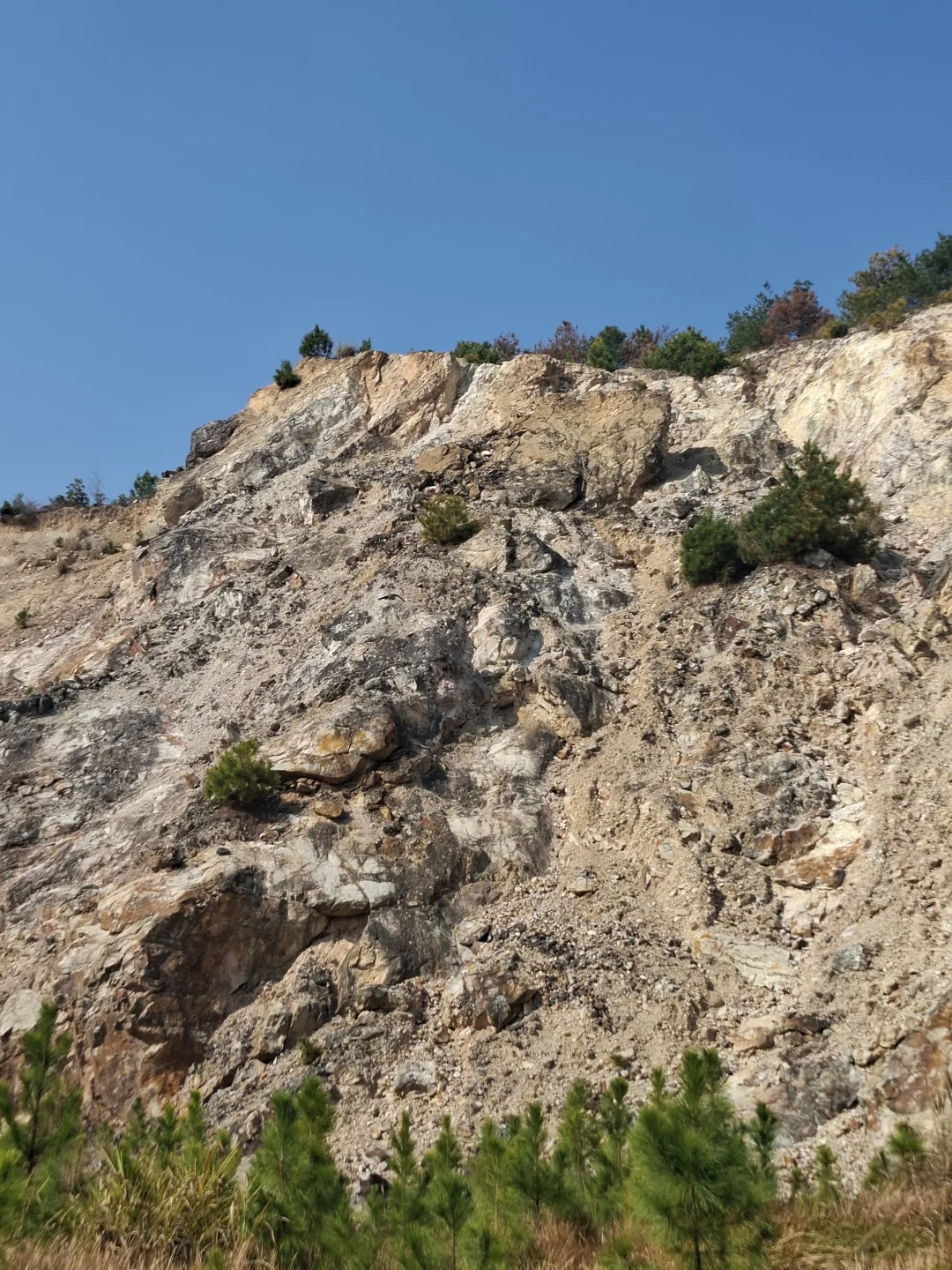 一起在抚州找寻纯正自然风景⛰️（含路线图