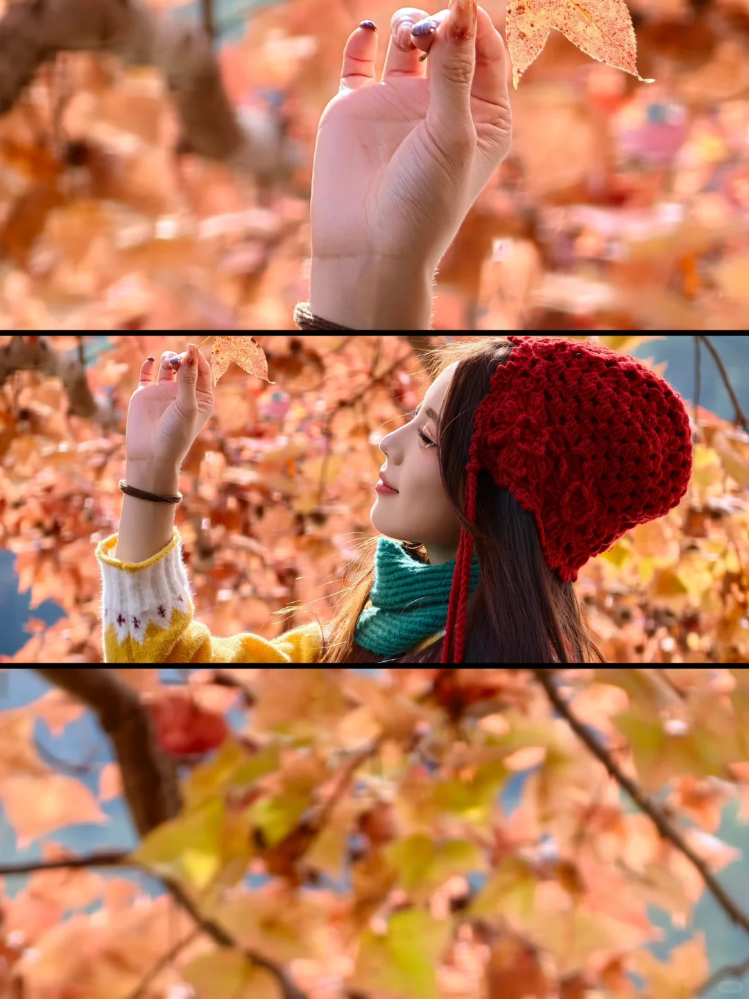 赣州文旅你不宣传糊涂呀！！赣州秋天美疯了🍂