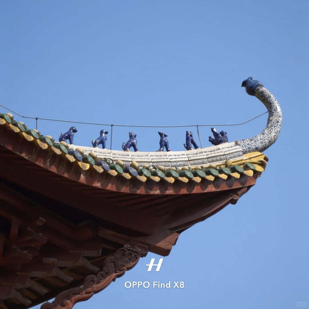 再见了这座满是辣椒的城市#南昌暴走24h🌆逛