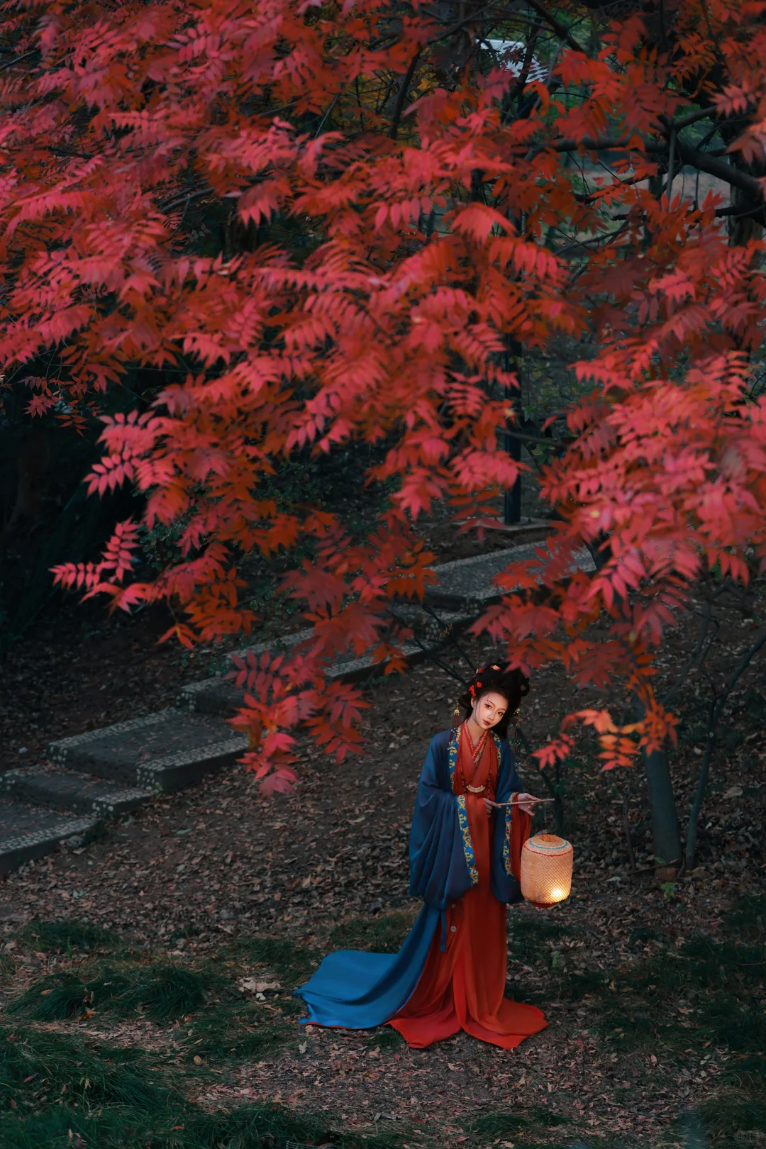 赣州这棵树也太好拍啦！ | 赣州汉服