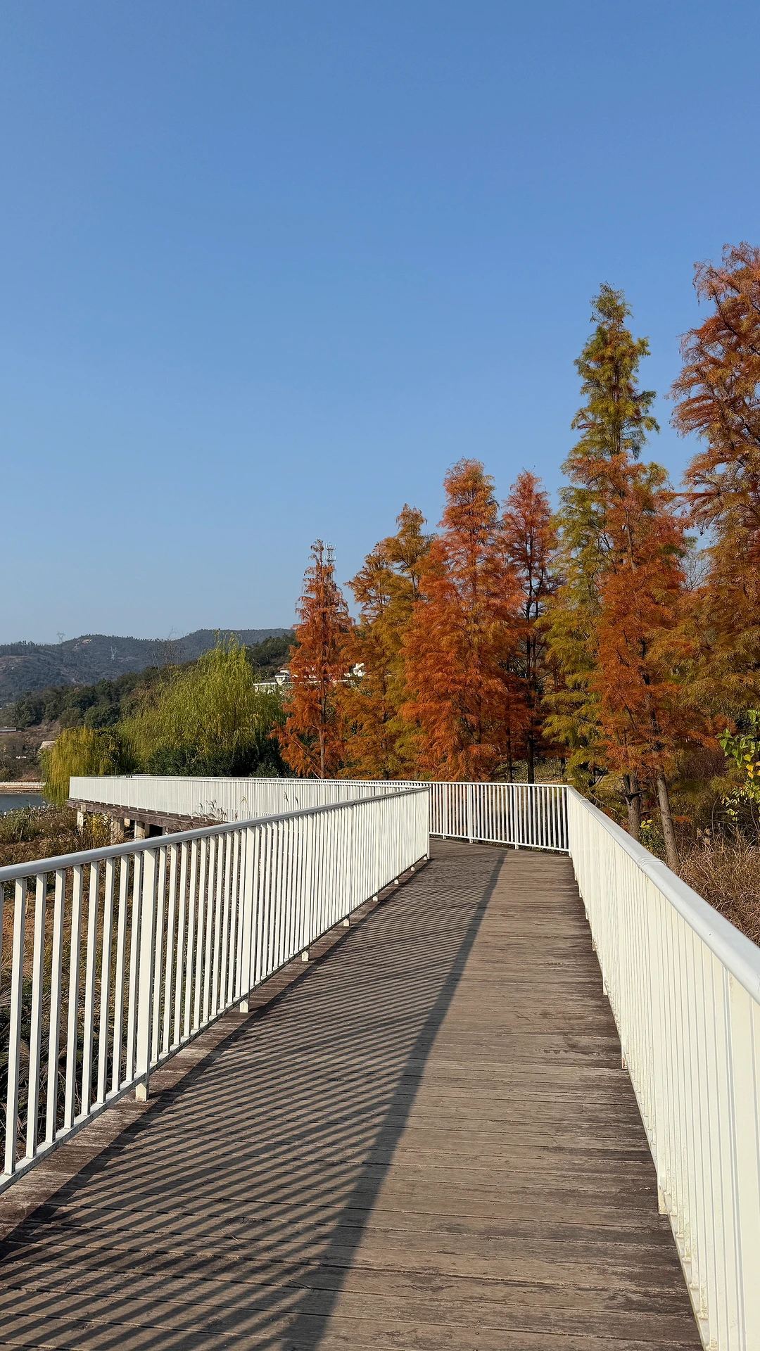 发光的湖面像星星✨